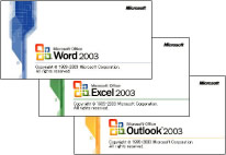 Microsoft® Office Personal Edition 2003