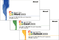 MicrosoftROffice Personal Edition 2003/MicrosoftROffice Professional Enterprise 2003