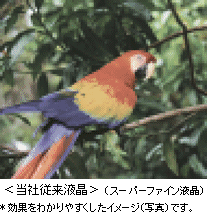 17^ChX[p[t@CDXIIt̎ʐ^