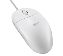 w̃XN[@\tUSB}EX̎ʐ^