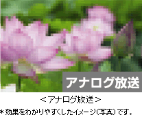 fW^EnCrWEer`[i[̔rʐ^