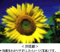 Visual(rWA)IveB}CU[rʐ^