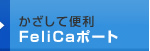 ĕ֗FeliCa|[g