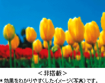 Visual(rWA)IveB}CU[rʐ^