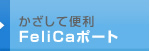 ĕ֗FeliCa|[g