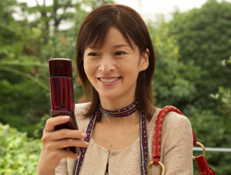 O񌩂ԑgĐłuW[Đ@\vB