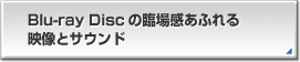 Blu-ray Disc̗ՏꊴӂfƃTEh