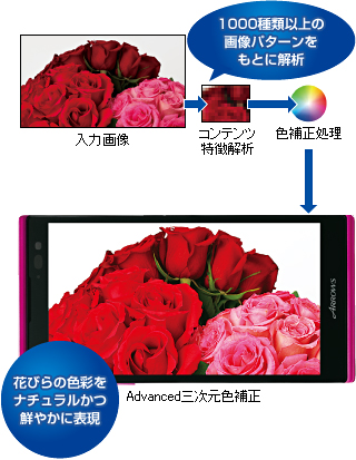 y͉摜z  yRećz 1000ވȏ̉摜p^[Ƃɉ  yF␳z  yAdvancedOF␳z Ԃт̐Fʂi`N₩ɕ\