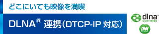 yǂɂĂf𖞋iz DLNAiRjAgiDTCP-IPΉj
