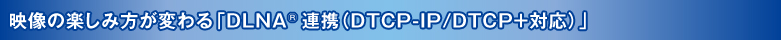 f̊yݕςuDLNAiRjAgiDTCP-IP^DTCP{Ήjv
