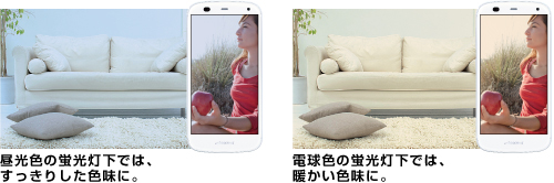 昼光色の蛍光灯下では、すっきりした色味に。/電球色の蛍光灯下では、暖かい色味に。
