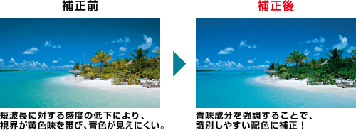 【補正前】 短波長に対する感度の低下により、視界が黄色味を帯び、青色が見えにくい。 ⇒ 【補正後】 青味成分を強調することで、識別しやすい配色に補正!