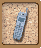 �f�W�^�����[�oF156