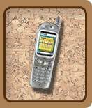 �f�W�^�����[�oF503i HYPER