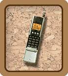 �f�W�^�����[�oF601ev