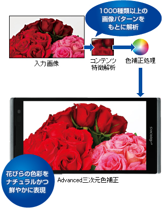 【入力画像】 ⇒ 【コンテンツ特徴解析】 1000種類以上の画像パターンをもとに解析 ⇒ 【色補正処理】 ⇒ 【Advanced三次元色補正】 花びらの色彩をナチュラルかつ鮮やかに表現