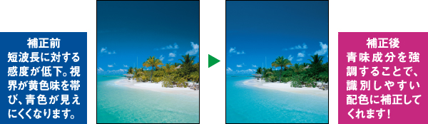 【補正前】 短波長に対する感度が低下。視界が黄色味を帯び、青色が見えにくくなります。 ⇒ 【補正後】 青味成分を強調することで、識別しやすい配色に補正してくれます!