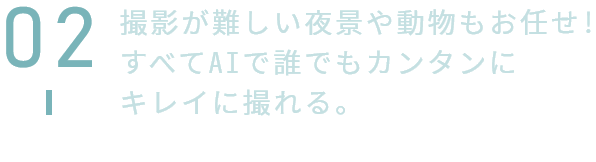 撮影が難しい夜景や動物もお任せ!すべてAIで誰でもカンタンにキレイに撮れる。