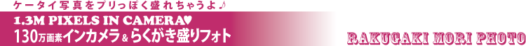 yRAKUGAKI MORI PHOTOz P[^Cʐ^vۂꂿႤ 1.3M PIXELS IN CAMERA 130fCJ炭tHg