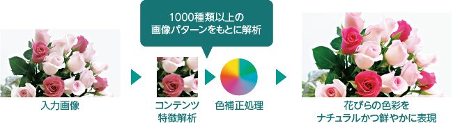 y͉摜z  yRećz  1000ވȏ̉摜p^[Ƃɉ  yF␳z  Ԃт̐Fʂi`N₩ɕ\