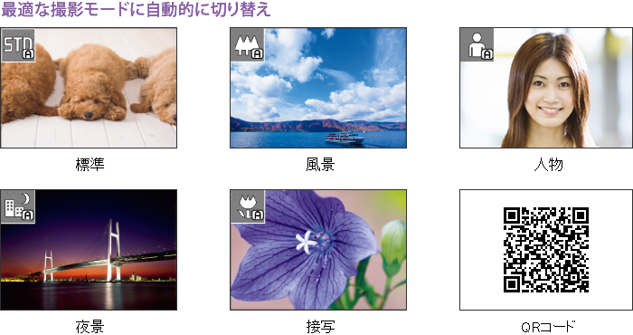 yœKȎBe[hɎIɐ؂ւz WAiAlAiAڎʁAQRR[h