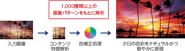 y͉摜z  yRećz 1000ވȏ̉摜p^[Ƃɉ́ yF␳z  [̐Fʂi`N₩ɕ\