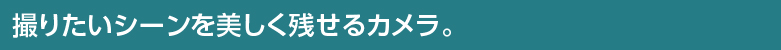 B肽V[cJB