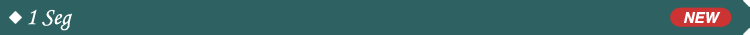 1 Seg