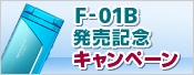 F-01B �����L�O�L�����y�[��