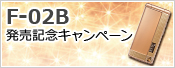 F-02B �����L�O�L�����y�[��