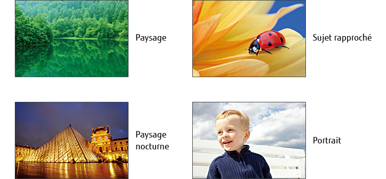 Paysage, Sujet rapproché, Paysage nocturne, Portrait