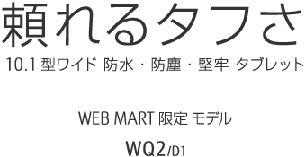 ^t 10.1^Ch hEhoES^ubg WEBMART胂f WQ2/D1