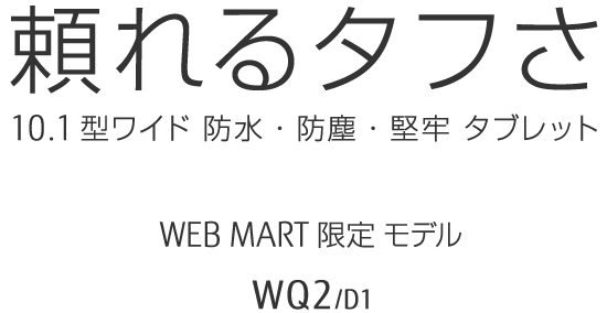 ^t 10.1^Ch hEhoES^ubg WEBMART胂f WQ2/D1
