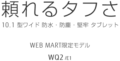 ^t 10.1^Ch hEhoES^ubg WEBMART胂f WQ2/E1
