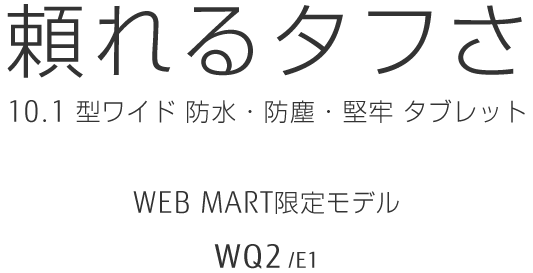 ^t 10.1^Ch hEhoES^ubg WEBMART胂f WQ2/E1