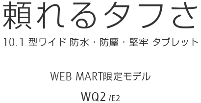 ^t 10.1^Ch hEhoES^ubg WEBMART胂f WQ2/E2