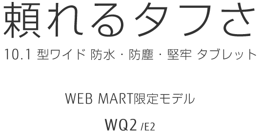 ^t 10.1^Ch hEhoES^ubg WEBMART胂f WQ2/E2