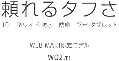 ^t 10.1^Ch hEhoES^ubg WEBMART胂f WQ2/F1