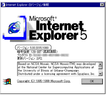 $B!V(BInternet Explorer$B$N%P!<%8%g%s>pJs!W2hLL(B