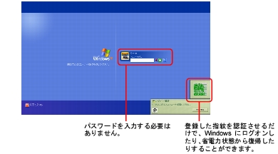 �摜