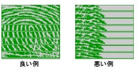�摜