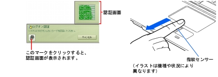 �摜