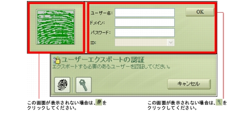 �摜