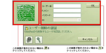 �摜