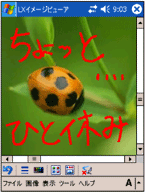 �u�菑�������̓��́v���