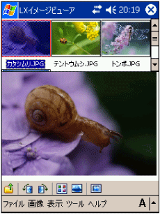 LX$B%$%a!<%8%S%e!<%