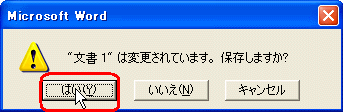Microsoft Word