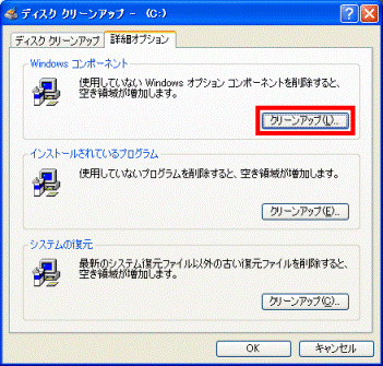 詳細オプションタブ
