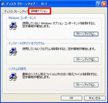 詳細オプションタブ