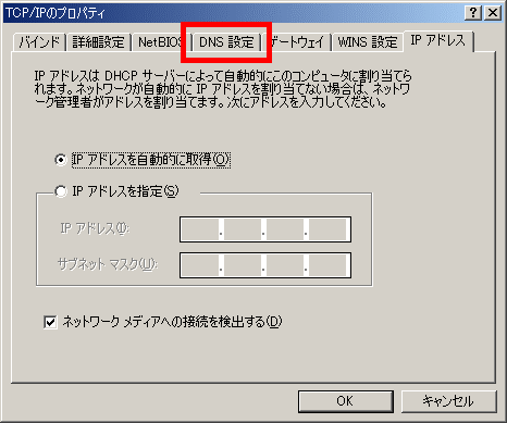 DNS 設定タブ
